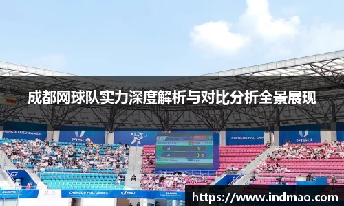 成都网球队实力深度解析与对比分析全景展现