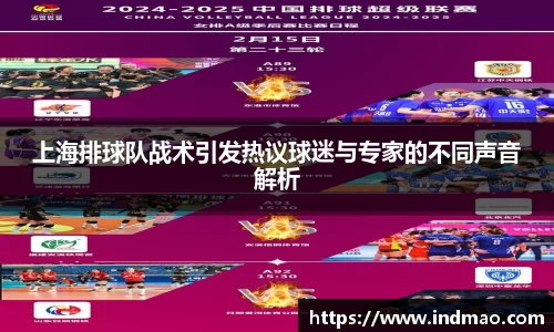 上海排球队战术引发热议球迷与专家的不同声音解析