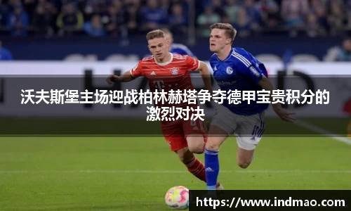 沃夫斯堡主场迎战柏林赫塔争夺德甲宝贵积分的激烈对决
